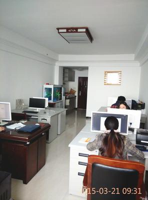 徐州传承化妆品科技发展 信息技术咨询服务赋能产业升级